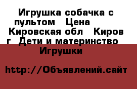 Игрушка собачка с пультом › Цена ­ 500 - Кировская обл., Киров г. Дети и материнство » Игрушки   